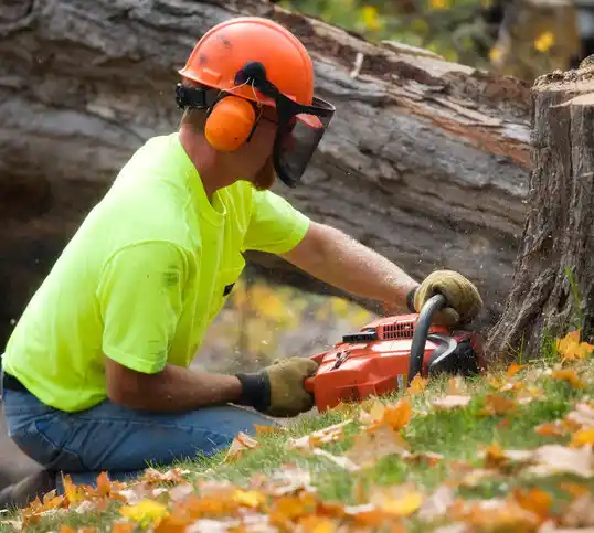 tree services Scotland Neck